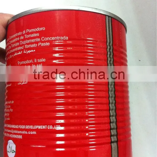 China Tomato Paste L79 Alavie Sauce Ketchup Factory 198g Double Concentrated Canned