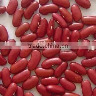 Red Kidney Bean/british Red Kidney Bean/dark Red Kidney Bean