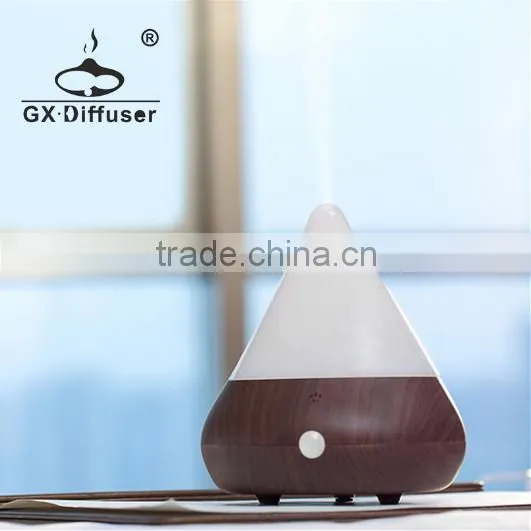 Tabletop Electric USB Power Diffuser - Wholesale Aroma Diffuser GX-B05 Usb Toilet Diffuser photo-4
