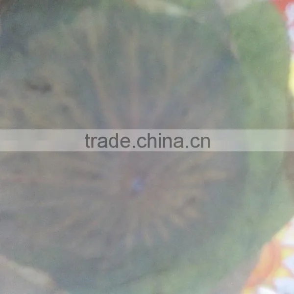 DRIED LOTUS LEAVES photo-2