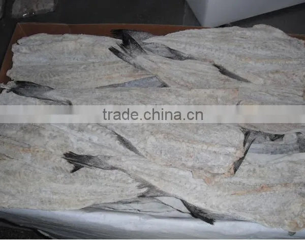 Dried salted cod fish herring