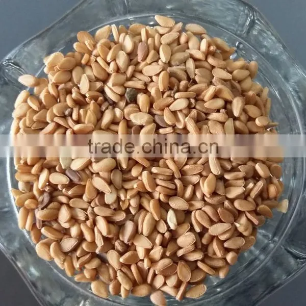 Top Quality Yellow Sesame Seeds photo-2