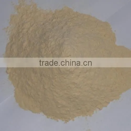 High Quality Wheat Gluten Meal photo-2
