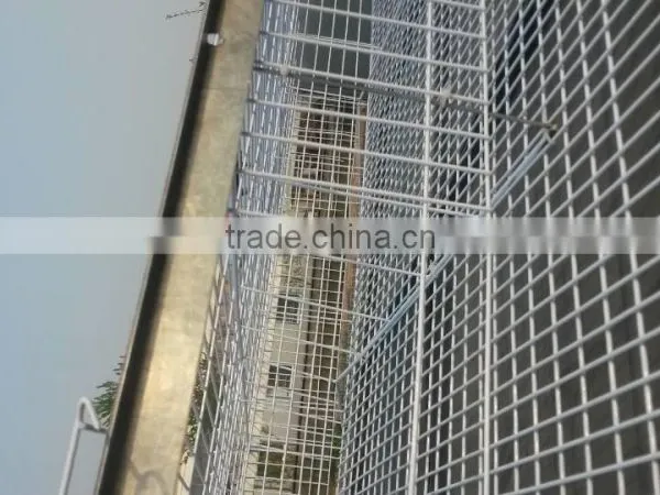 Automatic Poultry Equipment for Layer Quail Raising photo-3