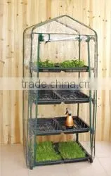 Plastic Cover With Seed Tray Mini Conservatory Kits HX51014-B4