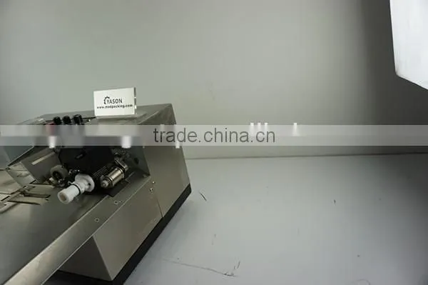Good Price for Automatic Stainless Steel Ink Coding Printer YS-380F photo-4