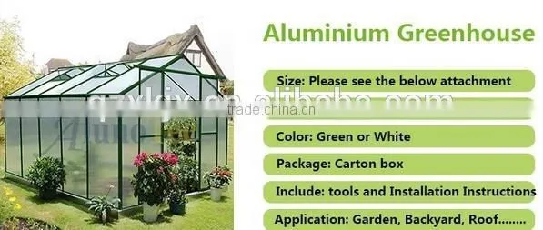Low Cost Mini Transparent Polycarbonate Garden Greenhouse for Flowers photo-3
