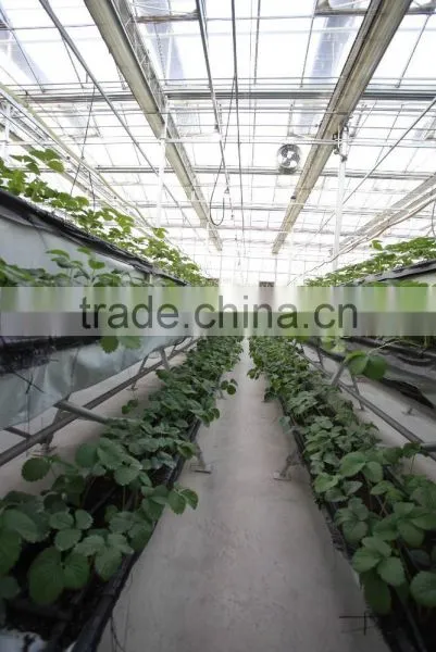 Greenhouse Kit photo-6