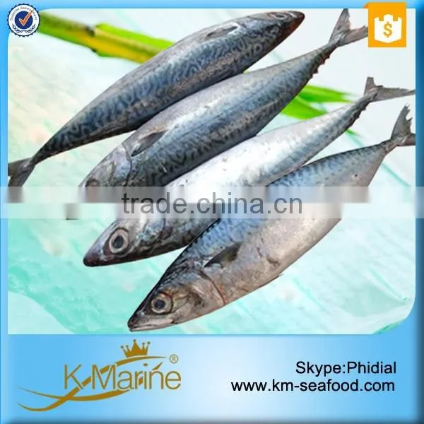 China Supplier of Sea Food Products photo-4