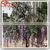 Wholesale to Asia 2.8m Artificial White &pink Wedding Blossom Decor photo-6