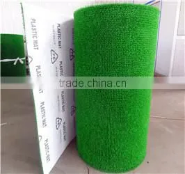 Great Services Gold- Rush Grass With 100% Quality photo-4