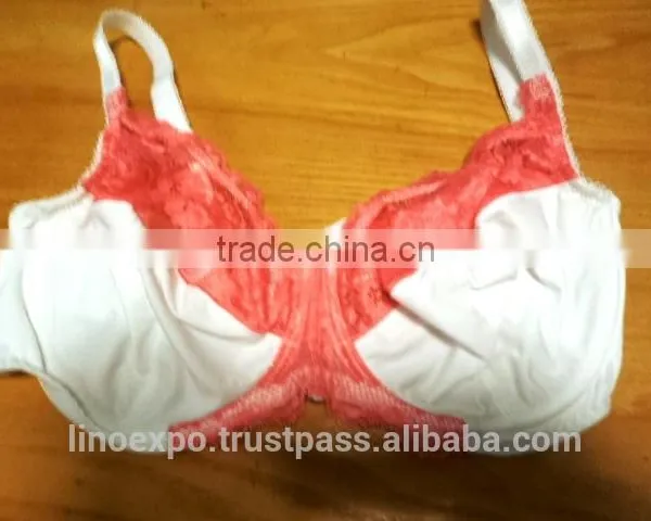LADIES BRA (Garment Stock Lots / Apparel Stock / Stocklots / Garment Apparel From Sri Lanka / Bangladesh) photo-5