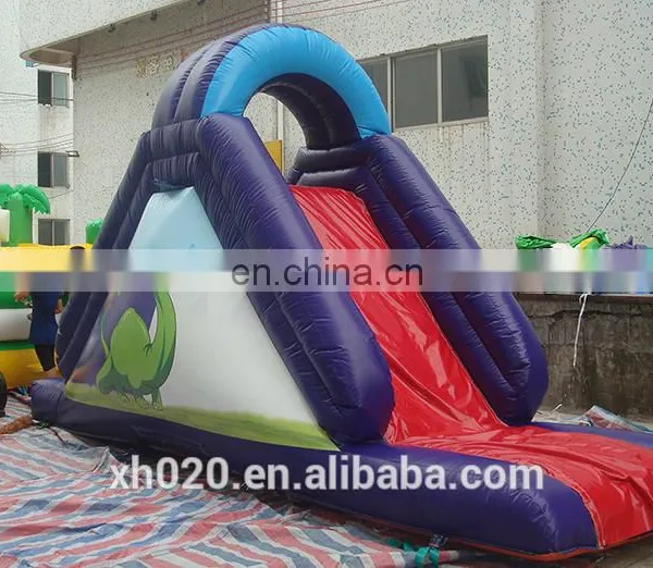 Lovely Kids Inflatable Vagina Slide for Sale photo-5