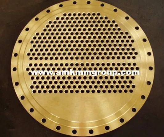 Tube Sheet