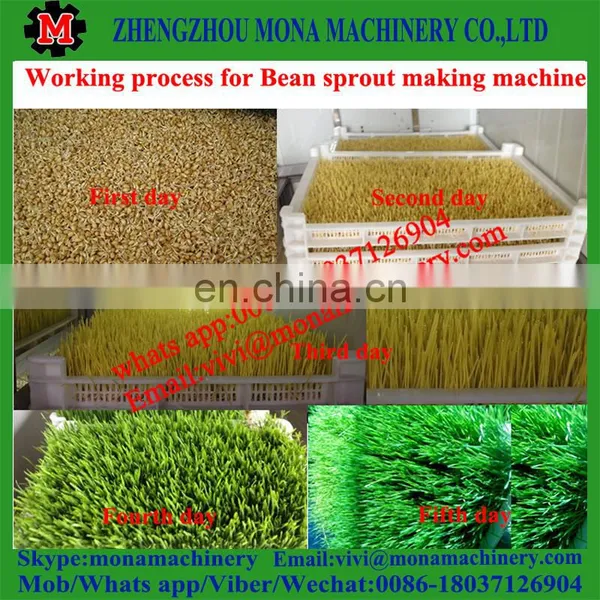 Commercial Mung Bean Sprout Growing Machine / Automatic Bean Sprout Machine Price photo-5
