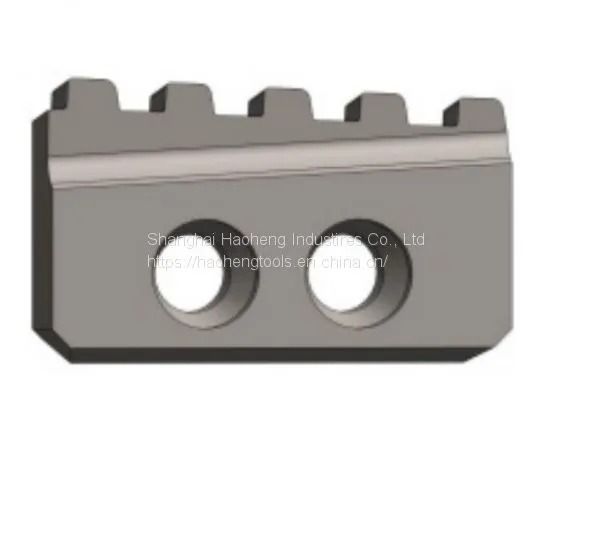 Oil Pipe Inserts
