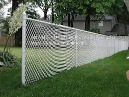 Iron Stainless Stain Welded Wire Mesh photo-4