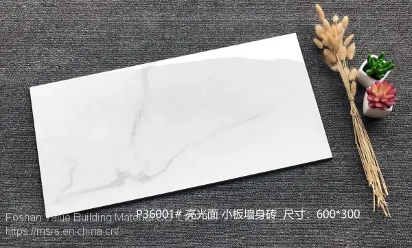 Foshan Porcelain Low Water Absorption 300x600 White Gloss Wall Tile photo-2