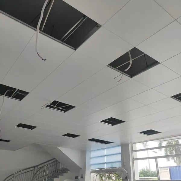 AA1050 Engraved Perforated Ceiling Sheets For Building Ceiling Decoration photo-4