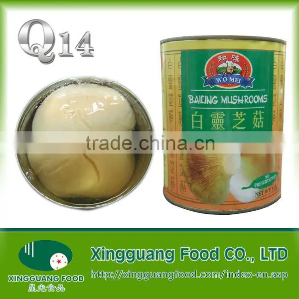 Canned Bailing Mushroom