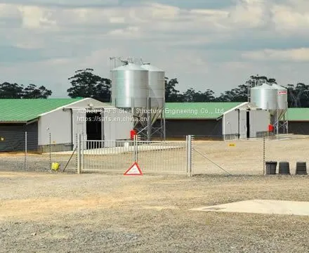 Portal Steel Structure Breeding Shed photo-2