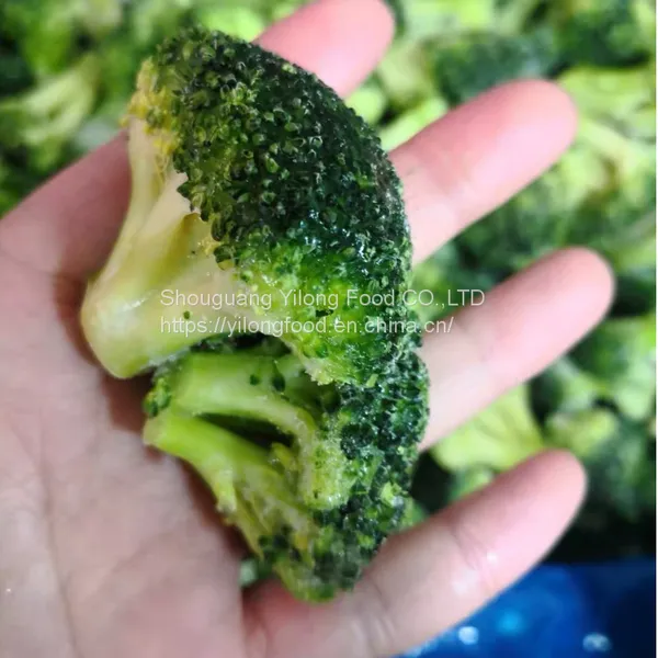 IQF Frozen Broccoli