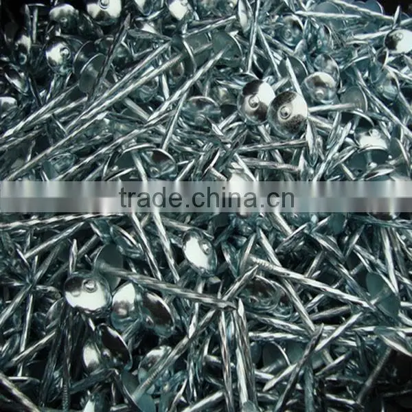 Umbrella Roofing Nails From Anping Tianyue photo-2