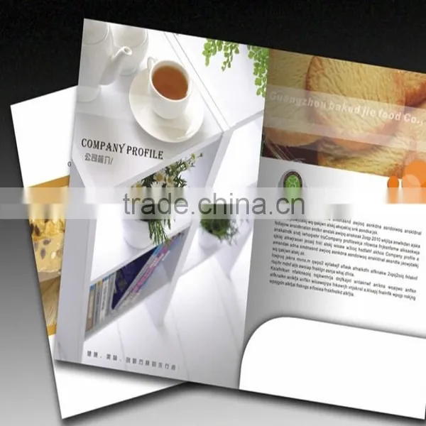 Laminate Pocket Catalogue Paper Folder photo-3