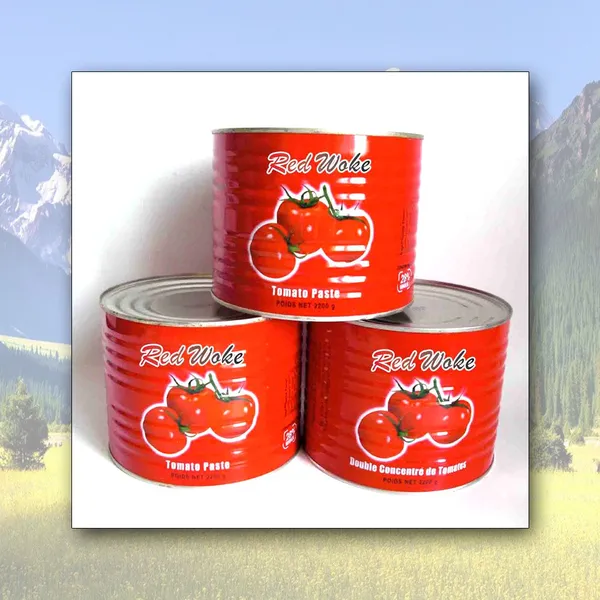 Canned Tomato Paste photo-4