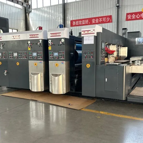 Fully Auto Carton Printing Forming Machine photo-2