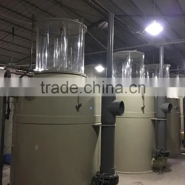 Ozone Generator With Protein Skimmer for Fish Farm photo-4