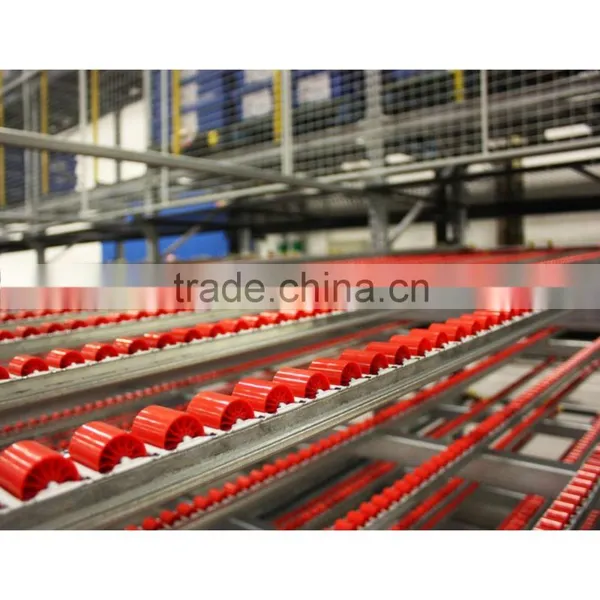 China Carton Flow Racking photo-2