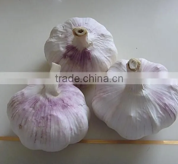 White Garlic Packed in 10kgs/ctn photo-4