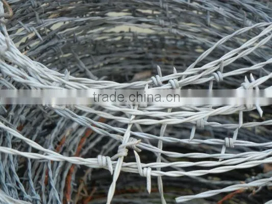 Hot Sale Barbed Wire Length per Roll /barbed Wire Fence/barbed Wire Price Express photo-4