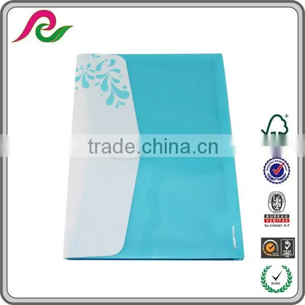 OEM&ODM a3 Size Plastic Poster Folder photo-3