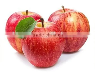 Chinese Fresh Sweet Red Star Apple With Good Quality photo-4