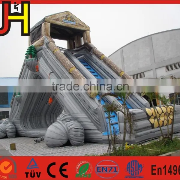 Professional Manufacturer Giant Inflatable Slide For Adults & Kids photo-2