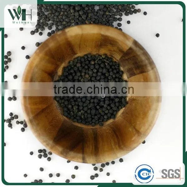 Vietnam Pure Natural Black Pepper 550gl 500gl for Extract
