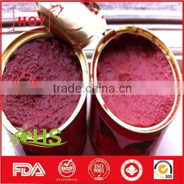 Canned Tomato Paste (70g-4500g) photo-2