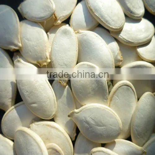 Dried Shine Skin Pumpkin Seeds in Bulk