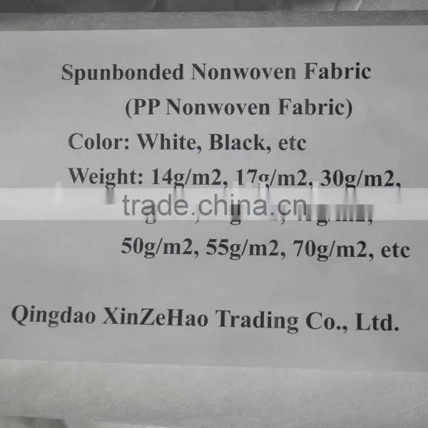 PP Nonwoven Fabric