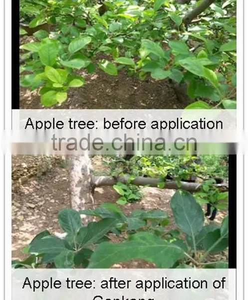 Root Growth Liquid Fertilizer photo-4