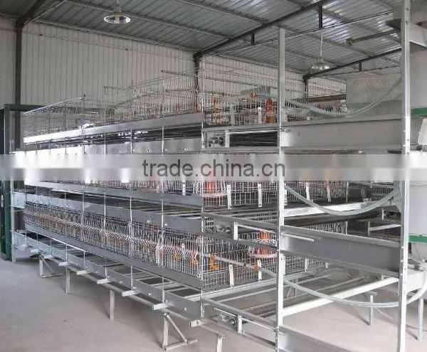 Welded Wire Mesh Quail Cage Type and Bird Use Quail Battery Cages for Sale photo-6