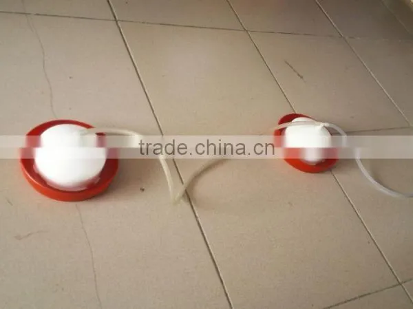 Automatic Chick Drinker Water Feeder for Chicken Poultry Equipments photo-5