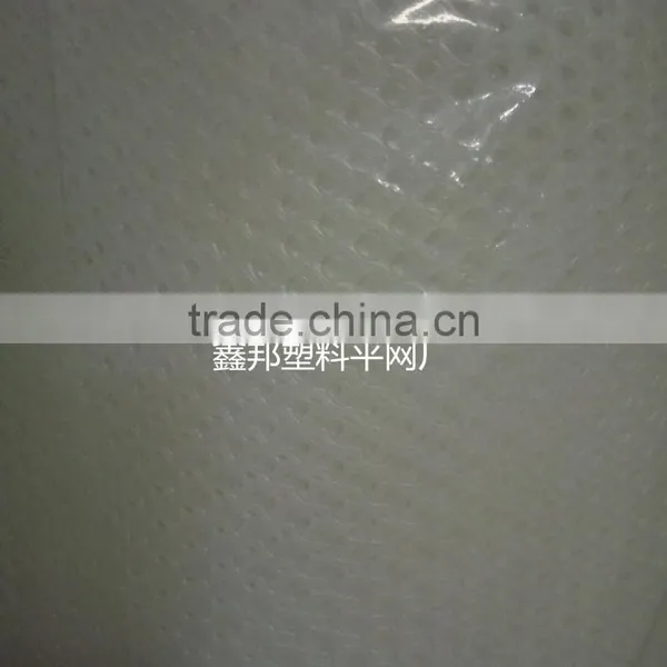 Plastic Mesh Plastic Net Chicken Mesh photo-6