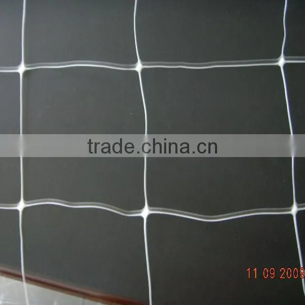 Hdpe Plant Climbing Support Netting/Plastic Net photo-3