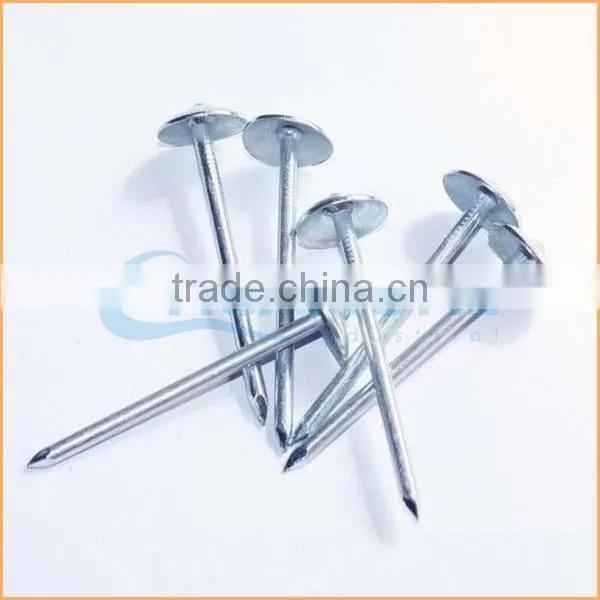 Top Quality Aluminium Roofing Nails Trusted Chuanghe Suppliers From Com photo-2