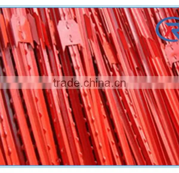 China High Quality Green and Red Painted Studded Steel T Post photo-4