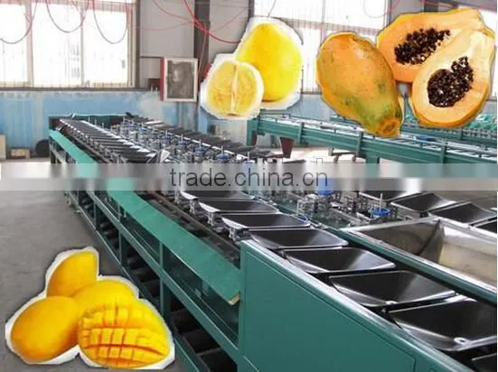 Pitaya Grading Machine Sorter Grader photo-3