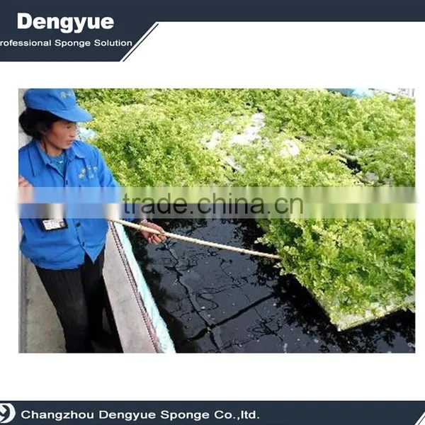 Agricultural Polyurethane High Densuty Fast Growing Plant Seed Foam/sponge Tray photo-6